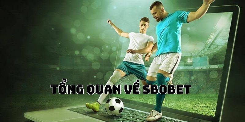 Giới thiệu sảnh SBOBET